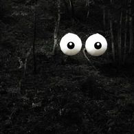 eye