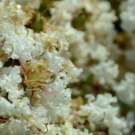 DSC_0203