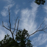 煙のような雲に手を伸ばすと
