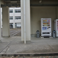 たむろする自動販売機