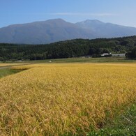 鳥海山麓の実り２０１１