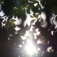 2012 summer 日常風景22