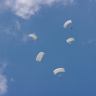 空を舞う