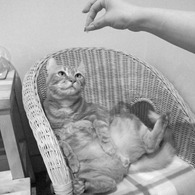 おあずけ