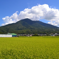 夏の筑波山