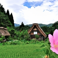 白川郷夏模様Ⅱ