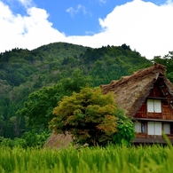 白川郷夏模様Ⅲ