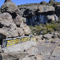 ZEBRA ROCK