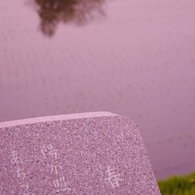 IMGP2829