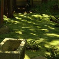 善慧院（東福寺塔頭）