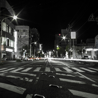 SDIM1230