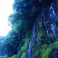 白糸の滝（１２）