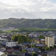 嵐の朝