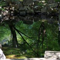 檀林寺（ひょうたん池）