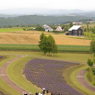 想い出の北海道9（2006/7）