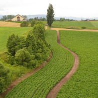 想い出の北海道11（2006/7）