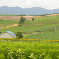 想い出の北海道12（2006/7）
