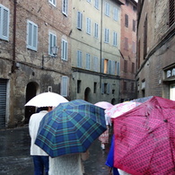Siena_01