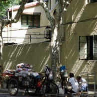 IMGP2320