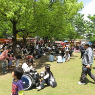 公園で一休み