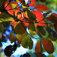 5D-2012_10_03-2734s