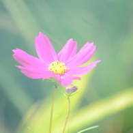 秋。。。