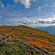 紅葉山行　その４