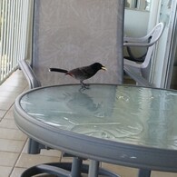 photo_2128604