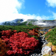 三段紅葉☆