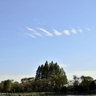 _DSC0827