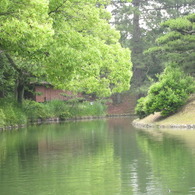 木と池の間に
