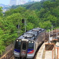 山路を往く