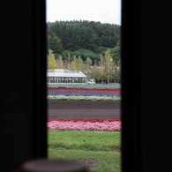 北海道・富良野・層雲峡・紅葉