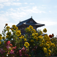 朱雀門の見える風景