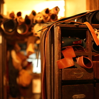 photo4
