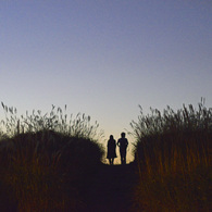Path in the grass field
