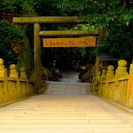 konpirasan