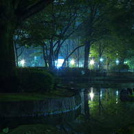 夜の公園