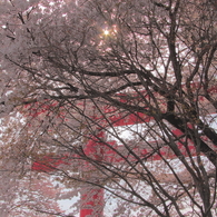 夢