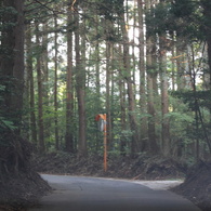 一本道