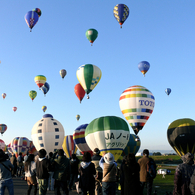 fly-up