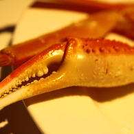 crab
