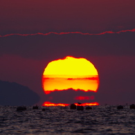 くびれ無しダルマ夕日