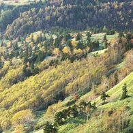 草津・白根山 (3)