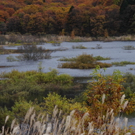 晩秋の恩原湖2