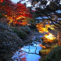 紅葉の池