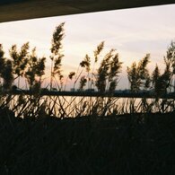 FH020012