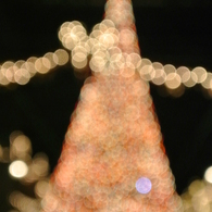 メインストリートのクリスマスツリー