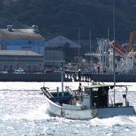 洞海湾の漁船