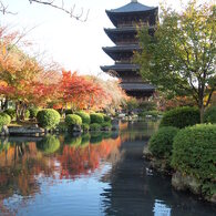 東寺にて